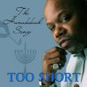 The Hanukkah Song - Single